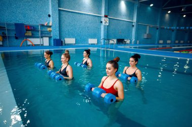 Kadın yüzücüler grubu, havuzda su aerobiği. Sudaki kadınlar, spor yüzme antrenmanı, sağlıklı yaşam tarzı.