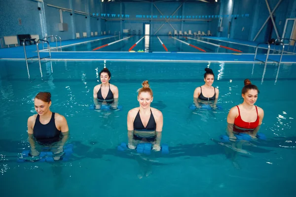 Female Swimmers Group Aqua Aerobics Training Dumbbells Pool Women Water — Stock Photo, Image