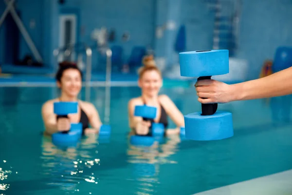 Nuotatrici Acquagym Gruppo Esercizio Con Manubri Piscina Donne Acqua Nuoto — Foto Stock