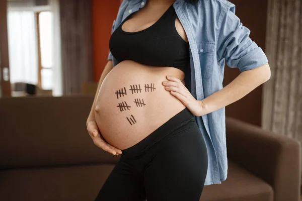 Mujer Embarazada Con Barriga Posa Casa Vista Lateral Embarazo Calma —  Fotos de Stock