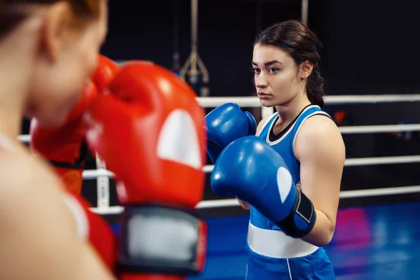 Nők Kesztyű Boksz Gyűrűn Box Edzés Női Bokszolók Tornateremben Kickbox — Stock Fotó