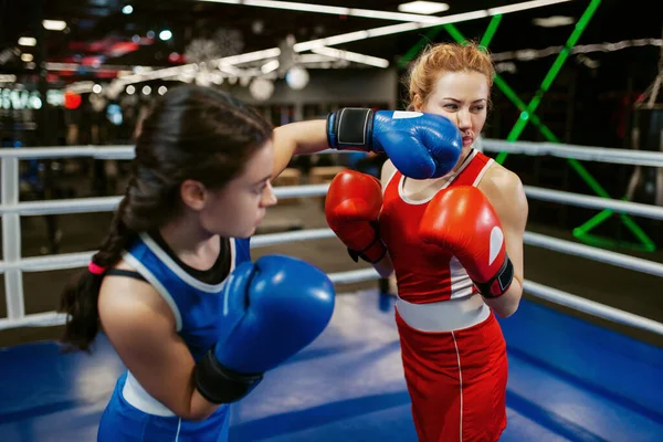 Mujeres Con Guantes Boxeando Ring Entrenamiento Caja Boxeadores Femeninos Gimnasio —  Fotos de Stock
