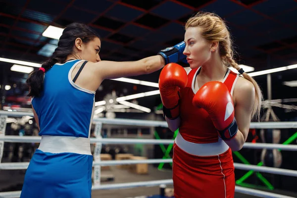 Женщины Перчатках Боксируют Ринге Тренируются Боксе Женщины Боксеры Тренажерном Зале — стоковое фото