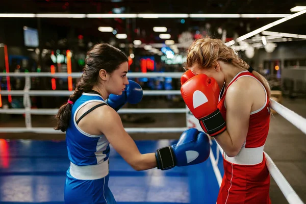 빨간색 파란색 장갑을 위에서 트레이닝을 여성들 선수들은 체육관에서 킥복싱 선수들은 — 스톡 사진