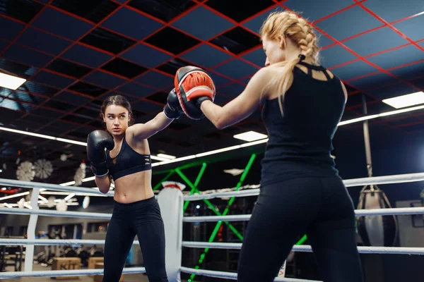Two women in gloves boxing in the ring, box training. Female boxers in gym, kickboxing sparring partners in sport club, punches practice