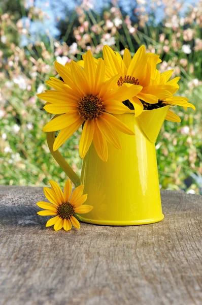 Gelbe und helle Blumen — Stockfoto