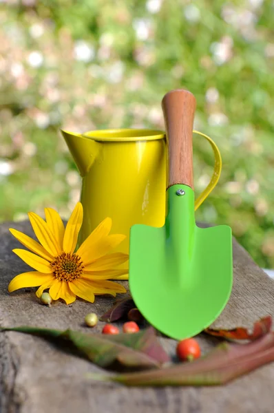 Kolorowe małe narzędzia ogrodnicze — Zdjęcie stockowe