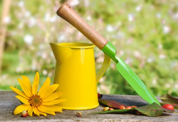 Peralatan berkebun berwarna — Stok Foto