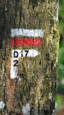 2017 treck imlenim üzerinde