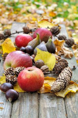 elma ve diğer meyveler 