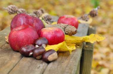 kırmızı elma ve sarı yaprak
