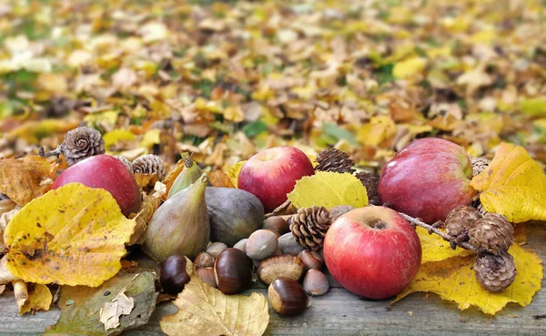 Frutti di stagione tra le foglie — Foto Stock