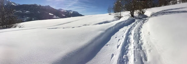 Путь в снегу — стоковое фото