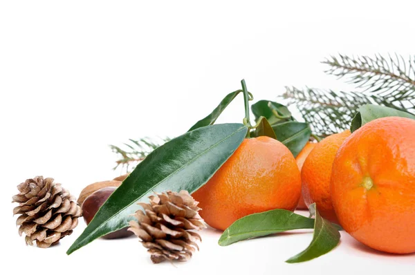 Clementines met blad — Stockfoto