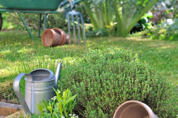 Tools and aromatic herbs — Stock Photo, Image