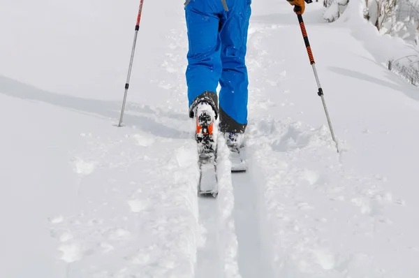 Passeio de esqui na neve fresca — Fotografia de Stock