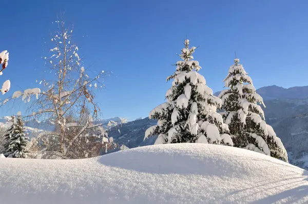 Vackert vinterlandskap — Stockfoto