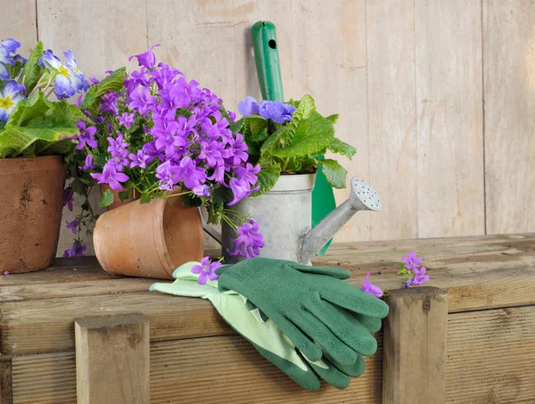Kwiaty i narzędzia ogrodnicze — Zdjęcie stockowe