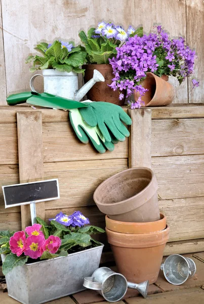 Flowerpots and gardening accessories — Stock Photo, Image