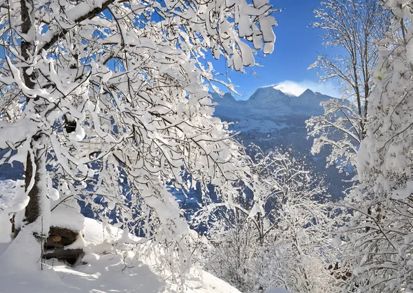 Scenic winter  landscape — Stock Photo, Image