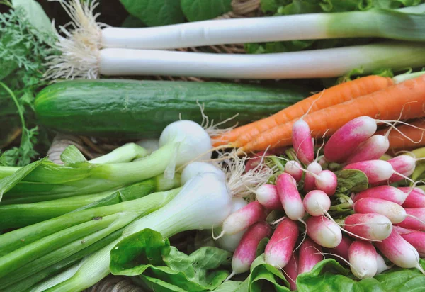 Various fresh vegetables — Stock Photo, Image