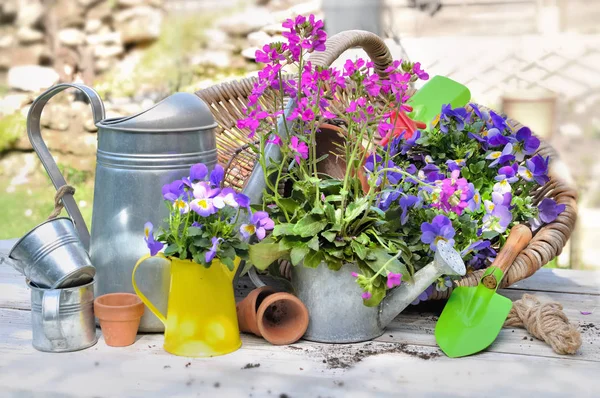 Blommor och verktyg — Stockfoto