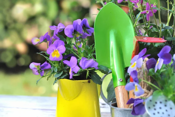 Flowers and tools — Stock Photo, Image