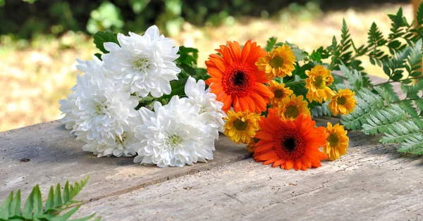Pretty flowers in garden — Stock Photo, Image