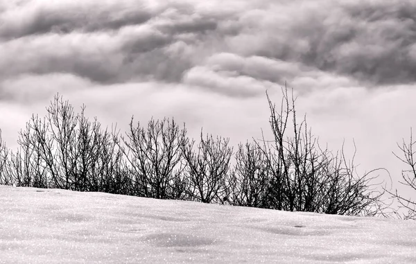 Nubes oscuras y nieve — Foto de Stock