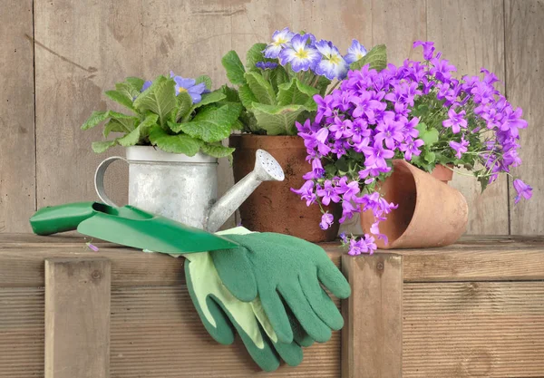 Spring gardening concept — Stock Photo, Image