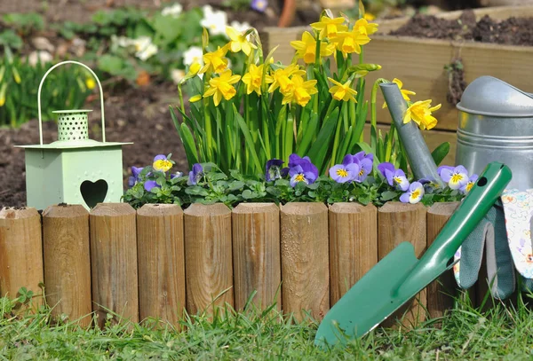 Springtime gardening in garden — Stock Photo, Image