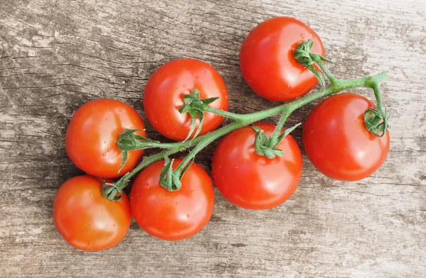 Tomaten op een plank — Stockfoto