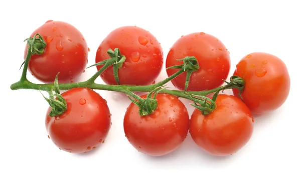 Ein Bündel Tomaten — Stockfoto