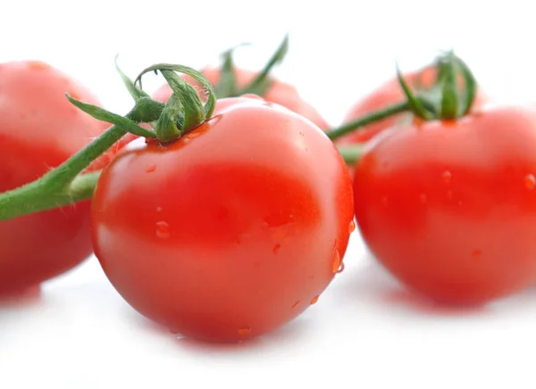 Tomaten dicht machen — Stockfoto