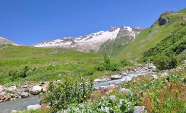Pastoral dağ manzarası
