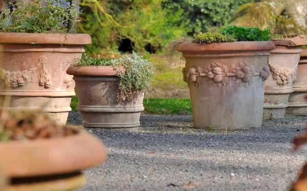 Terracotta flower pots — Stock Photo, Image