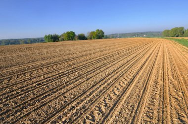 büyük alan yetiştirmek