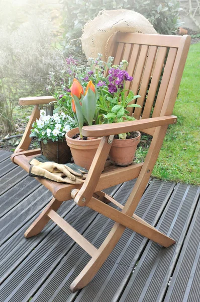 Flowerpots on a chair — Stock Photo, Image