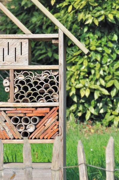 Insektenhotel im Garten — Stockfoto