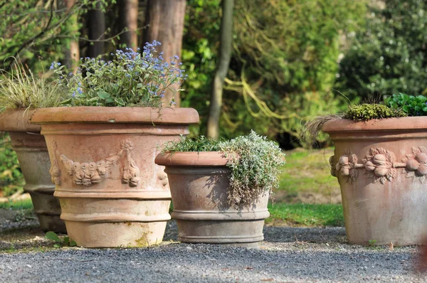 Pots en terre cuite dans le jardin — Photo