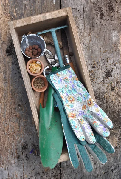 Guantes y herramientas de jardinería — Foto de Stock