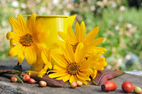 Herbstliches Blumenstillleben — Stockfoto