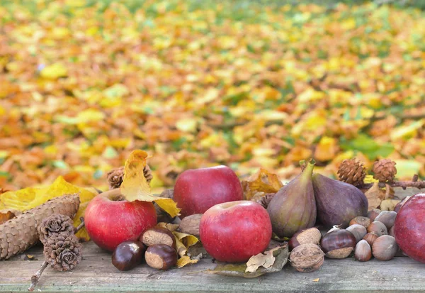 Autumnal still life — Stok fotoğraf