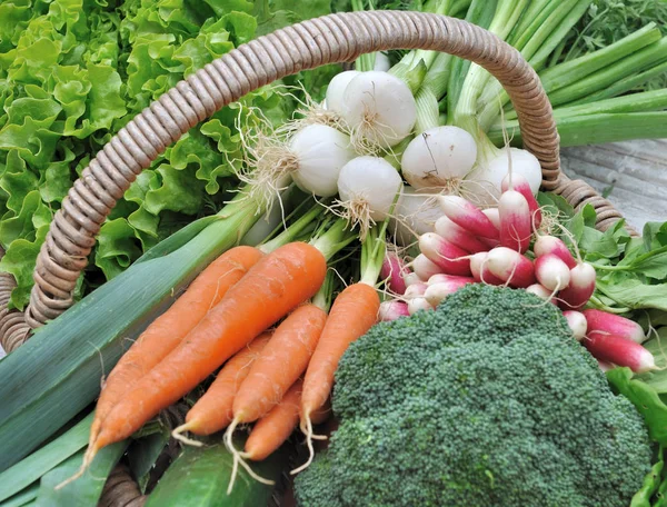 Fresh vegetables  in basket — Stock Photo, Image