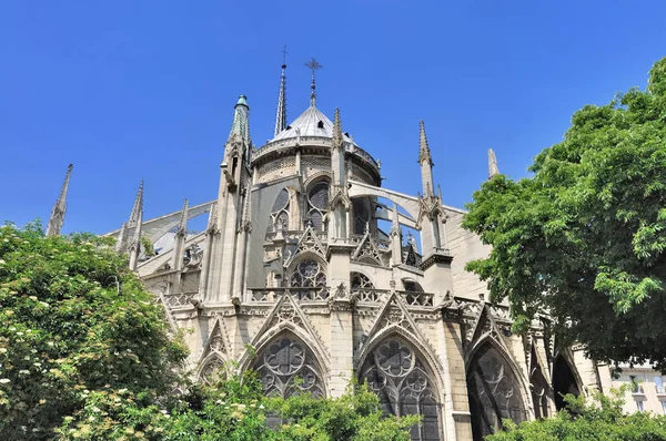 Our Lady of Paris — Stock Photo, Image