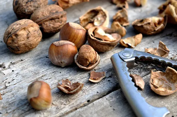 Орешки и орехи — стоковое фото
