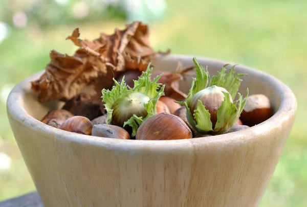 Hazelnuts dalam mangkuk — Stok Foto