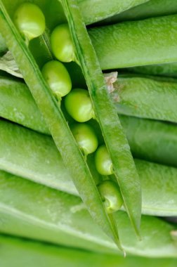 Açık elmanın yarısı