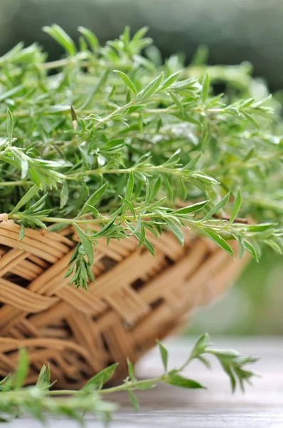 Close on tarragon in a basket — Stock Photo, Image