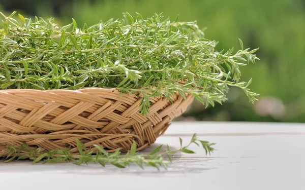 Fresh tarragon in a basket — Stock Photo, Image